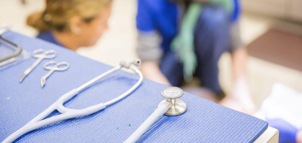 Pet Wellness Solutions - Wilderness Animal Hospital