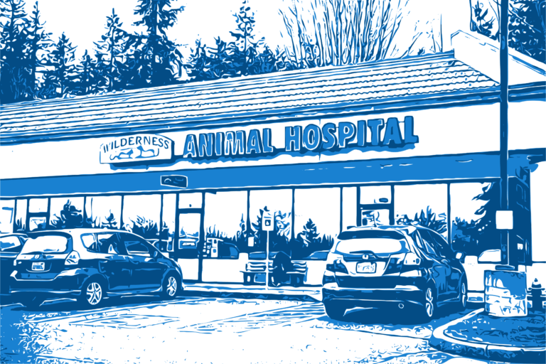 Wilderness Animal Hospital Graphic - Maple Valley, WA