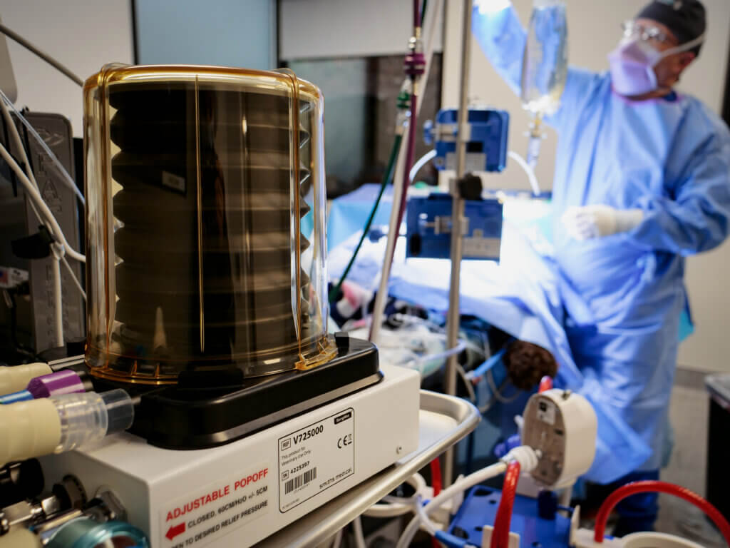 Wilderness Animal Hospital Surgery