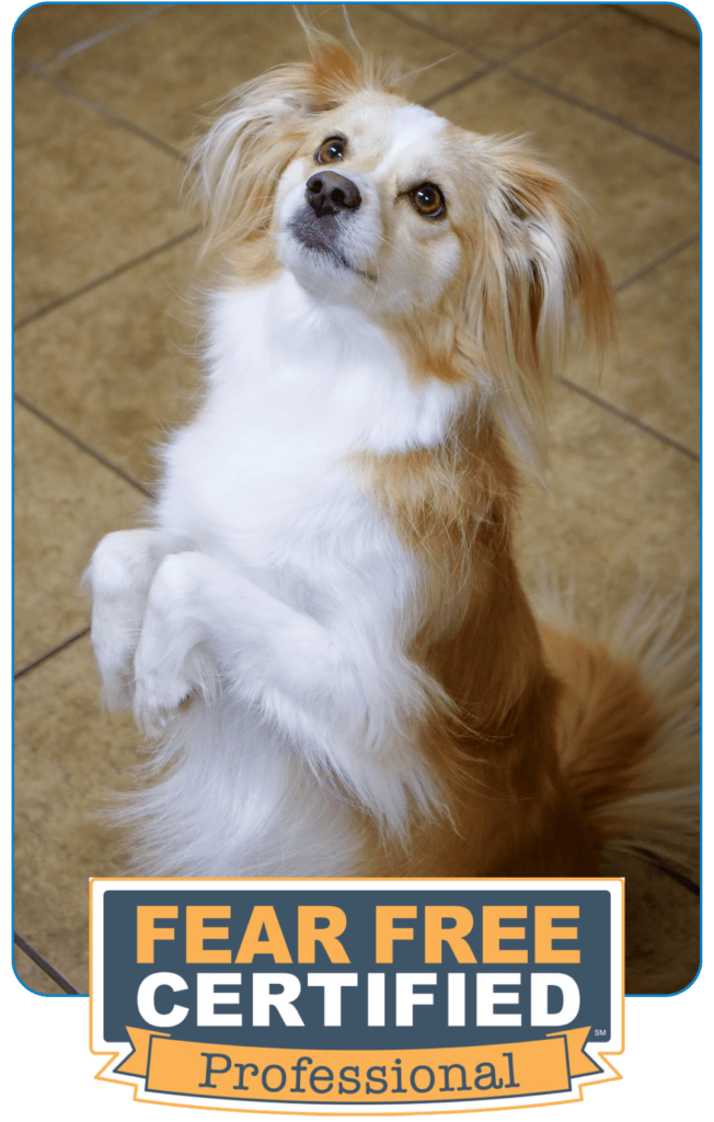 Wilderness Animal Hospital Fear Free