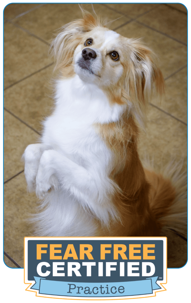 Wilderness Animal Hospital Fear Free